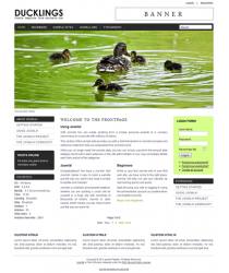 Pro joomla 2.5 template with slideshow: a4joomla-Ducklings