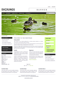 Pro joomla 2.5 template with slideshow: a4joomla-Ducklings