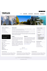 Pro joomla 2.5 template with slideshow: a4joomla-Triplex